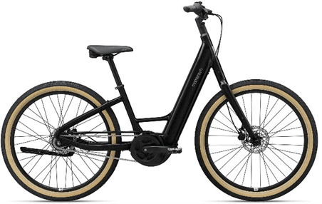 Recalled Momentum Vida E+ E-Bike (panther)